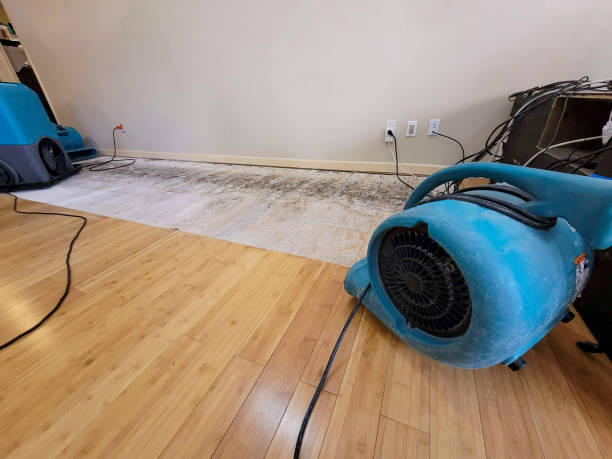 Professional Burst Pipe Water Damage technician working in Slayden, TN